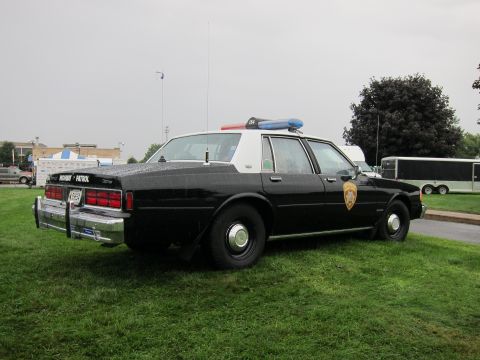 1991 Ford LTD Crown Victoria - black police sedan lettered Highway Patrol with a roof light bar and push bar sits on grass under an overcast sky.