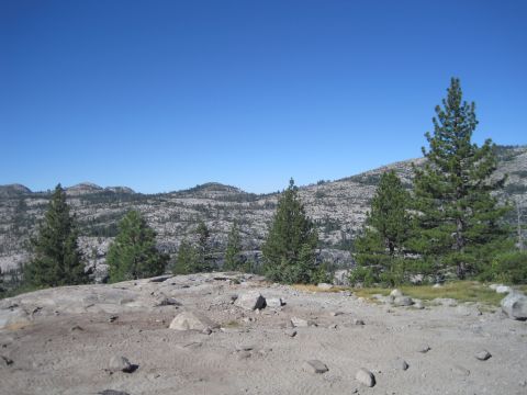 1989 Ford Bronco - A wide view of a rocky, mountainous terrain with scattered pine trees under a bright blue sky.