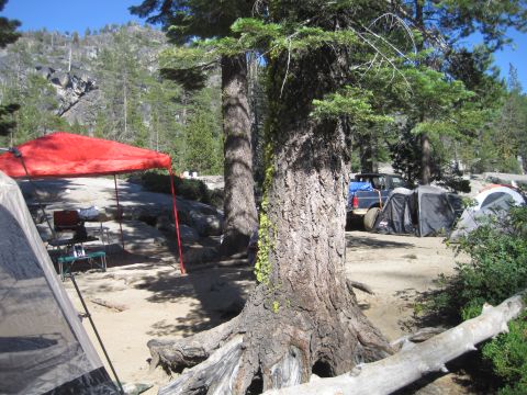 1989 Ford Bronco - A campsite scene with a blue pickup truck, tents, and camping gear set up under trees.