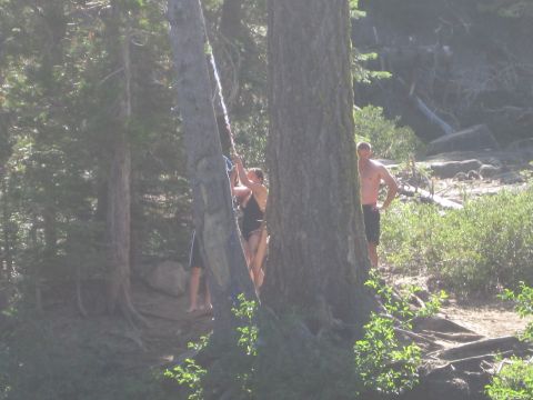 1989 Ford Bronco - A group of people are by a tree, with one person preparing to use a rope swing.