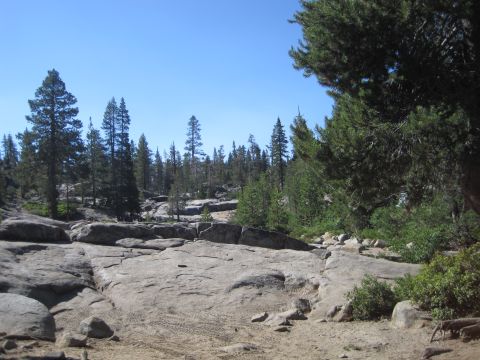 1989 Ford Bronco - A wide shot of a rocky, wooded area under a clear blue sky.