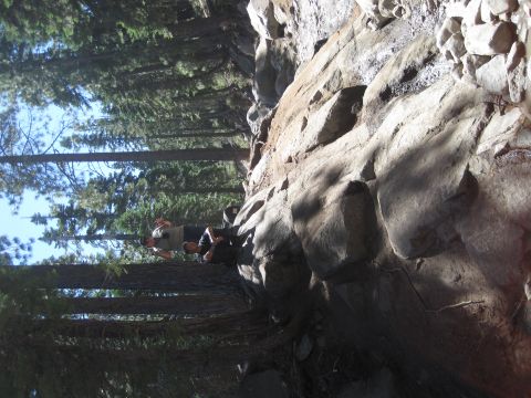 1989 Ford Bronco - People relax on a rock formation surrounded by dense forest and tall pine trees under a clear blue sky.