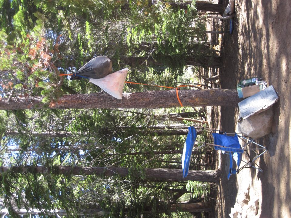 Two bags hanging from a tree branch with orange rope, blue camping chairs nearby