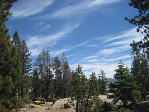 1989 Ford Bronco - Two off-road vehicles navigate a dirt trail surrounded by pine trees under a cloudy blue sky.