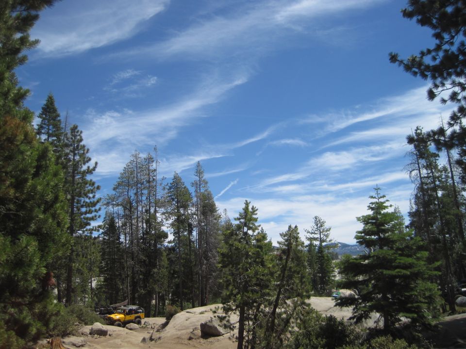 Yellow off-road vehicle and another vehicle on a dirt path with pine trees and a blue sky