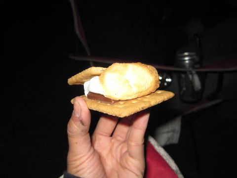 1989 Ford Bronco - A s'more is held up, ready to be eaten, with a dark background.