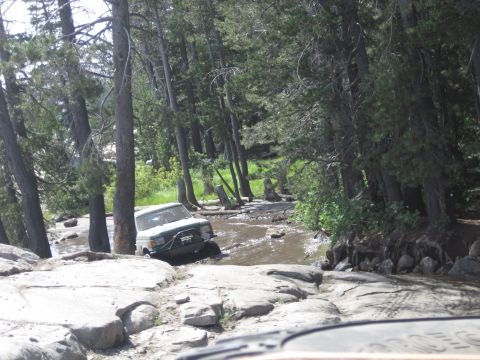 1989 Ford Bronco - A vehicle navigates a muddy, rocky stream bed surrounded by dense forest.