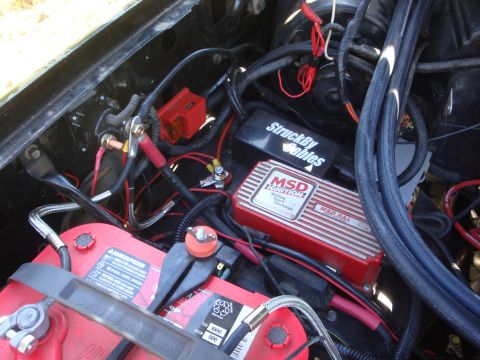 1989 Ford Bronco - Close-up of engine bay showing battery, MSD ignition, and wiring harness.