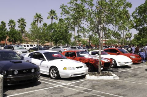 2006 Cadillac STS - A variety of cars are parked in an outdoor lot under trees, with palm trees in the background.
