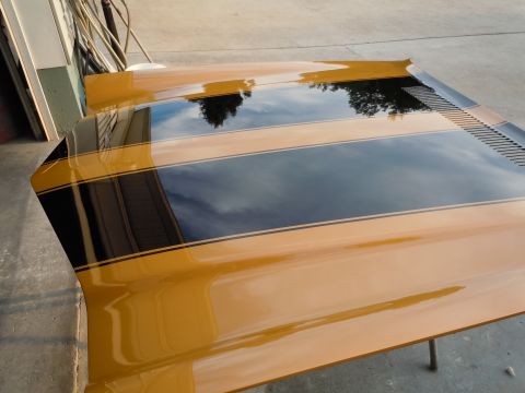 1970 Chevrolet Camaro - A car hood with dual racing stripes is shown, reflecting the sky and trees.