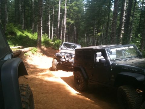 2005 Jeep Wrangler - Jeep Wranglers navigate a wooded trail, with one clearly marked as a Rubicon model.