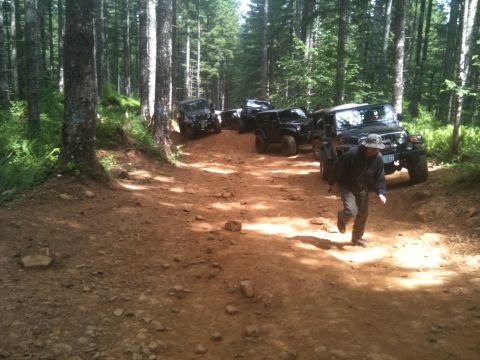 2005 Jeep Wrangler - Multiple black Jeep Wranglers navigate a rocky dirt path through a dense forest.