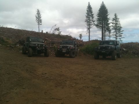 2005 Jeep Wrangler - Three Jeep Wranglers are parked on a dirt road with a backdrop of trees and logged hills under a cloudy sky.