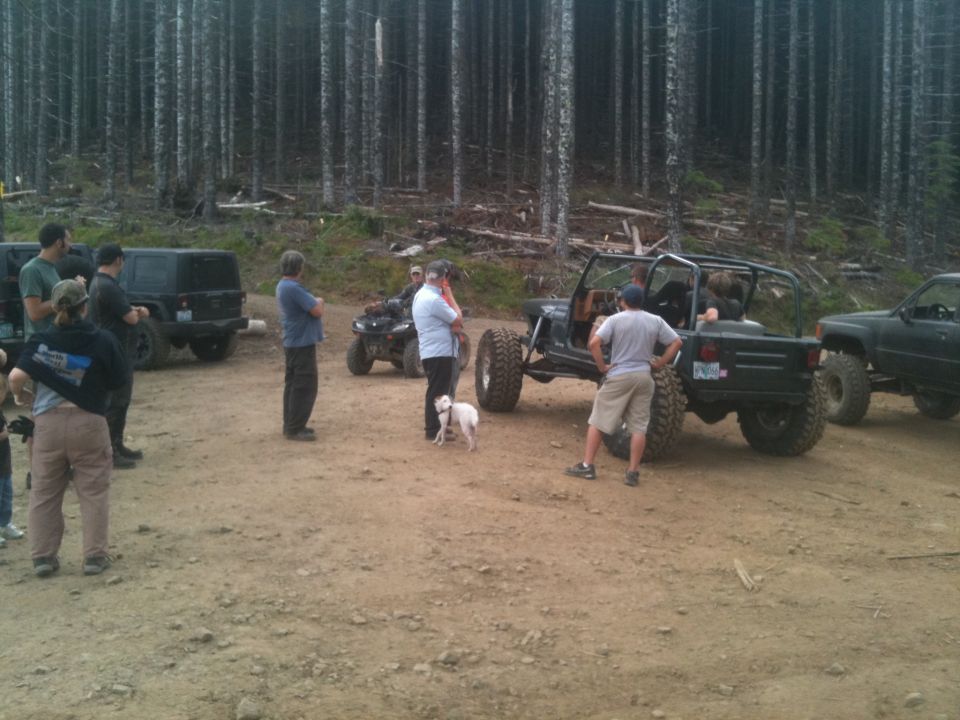 Dark green Jeep Wrangler with a roll cage, large tires, and a lifted suspension, viewed from the rear three-quarter angle