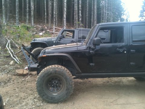 2005 Jeep Wrangler - Two Jeep Wranglers, one a Rubicon, parked off-road in a forest with birch trees.