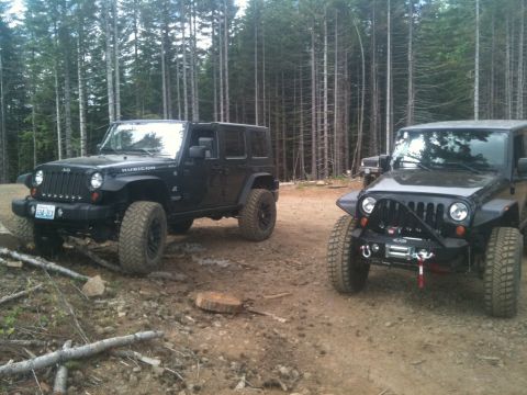 2005 Jeep Wrangler - Two black Jeep Wranglers are parked on a dirt path surrounded by tall trees in a forest.