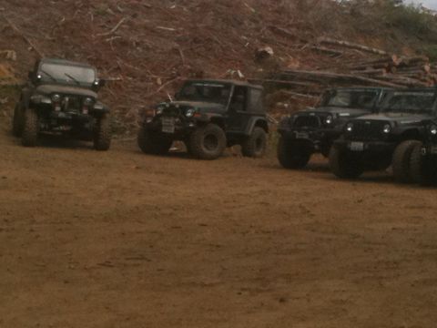 2005 Jeep Wrangler - Several Jeep Wranglers are parked together on a dirt surface with a wooded area behind them.