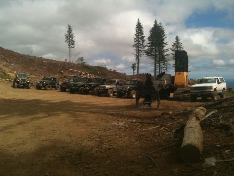 2005 Jeep Wrangler - A group of Jeeps and a white SUV are parked in a cleared area with logging equipment and trees in the background.