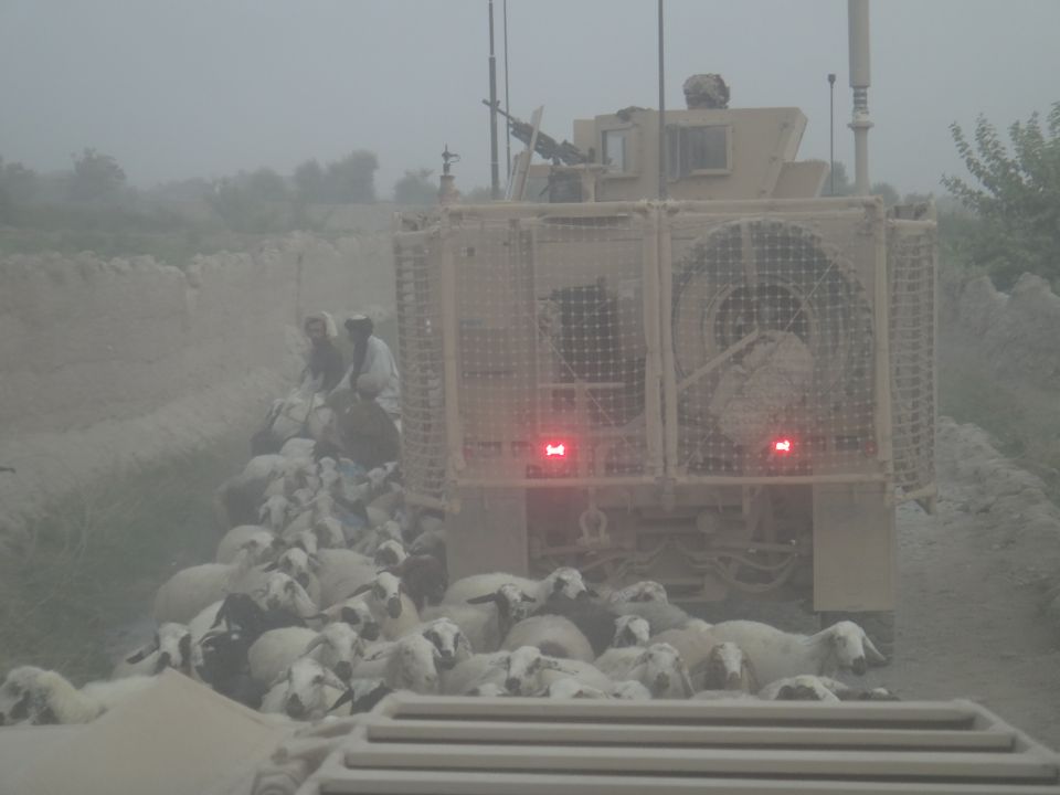 Tan armored military vehicle rear with slat armor amid sheep and herders in dusty road