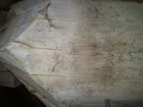 1985 Ford F-150 - Close-up of a vehicle body panel, showing texture and discoloration.