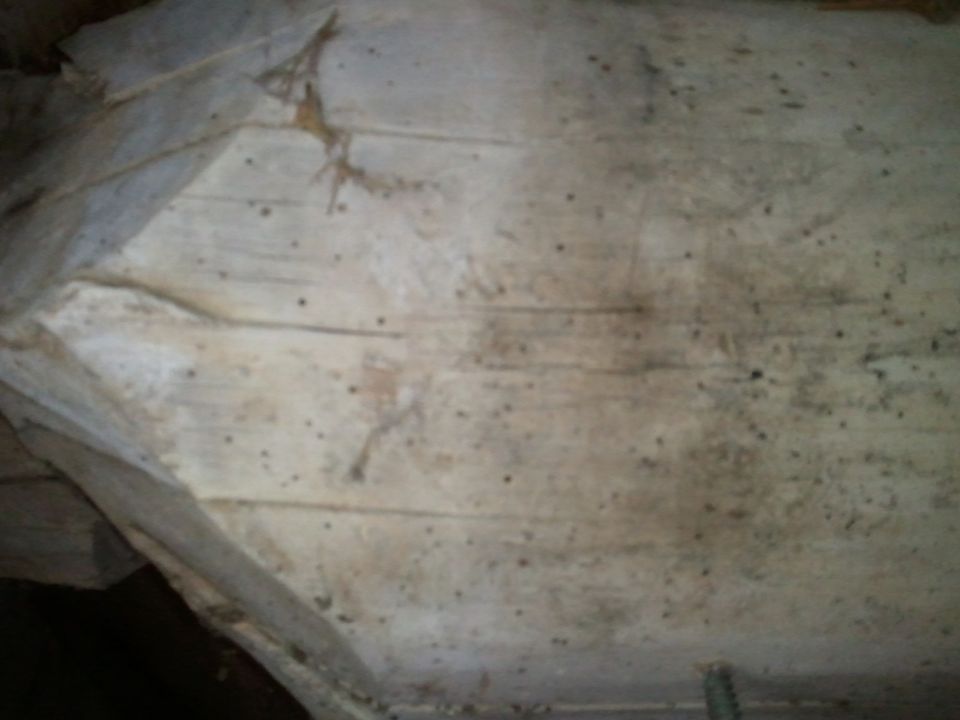 Close-up of a weathered, possibly fiberglass, vehicle body panel with some texture and dark spots