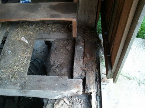 1985 Ford F-150 - A tire is partially visible through a gap in the decaying wooden floor of a barn.