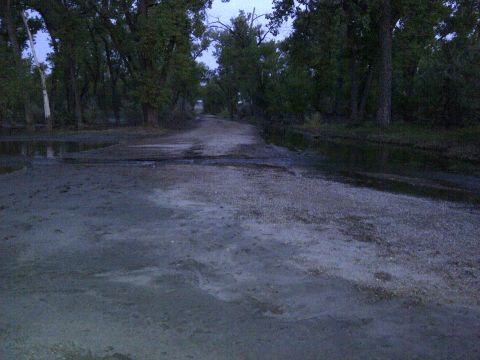 1994 Ford F-150 - A dirt road winds through a tree-lined area with puddles reflecting the dim sky.