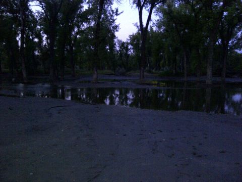 1994 Ford F-150 - A flooded area with trees and their reflections is visible in the dim light.