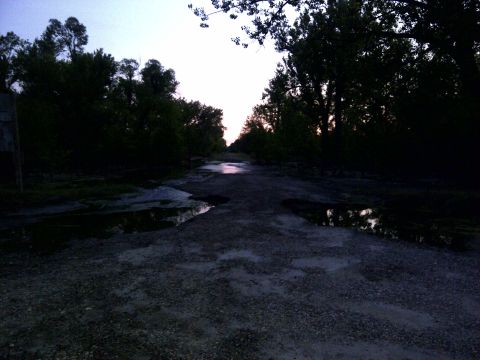 1994 Ford F-150 - A desolate road stretches into the distance, marked by numerous puddles reflecting the twilight sky.