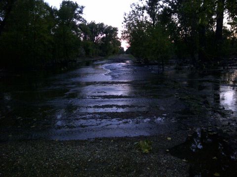 1994 Ford F-150 - A flooded road winds through trees at dusk, with the Supermotors logo visible in the lower right corner.