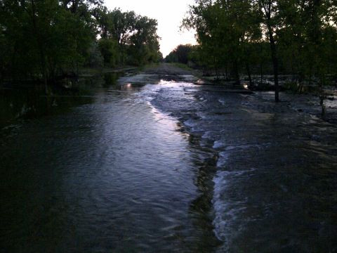 1994 Ford F-150 - A flooded road is visible with trees lining the sides and water flowing over the pavement.