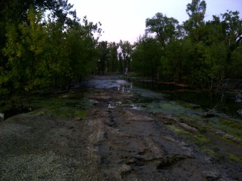 1994 Ford F-150 - A muddy path winds through trees, with puddles reflecting the sky.