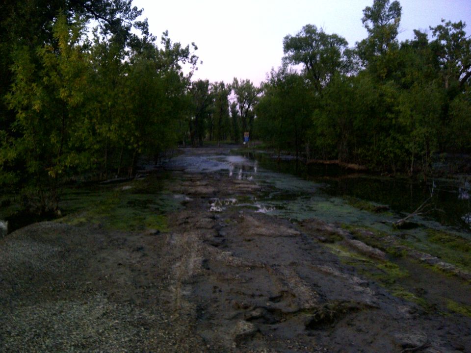Muddy, rutted road through trees with puddles. A person is visible in the distance