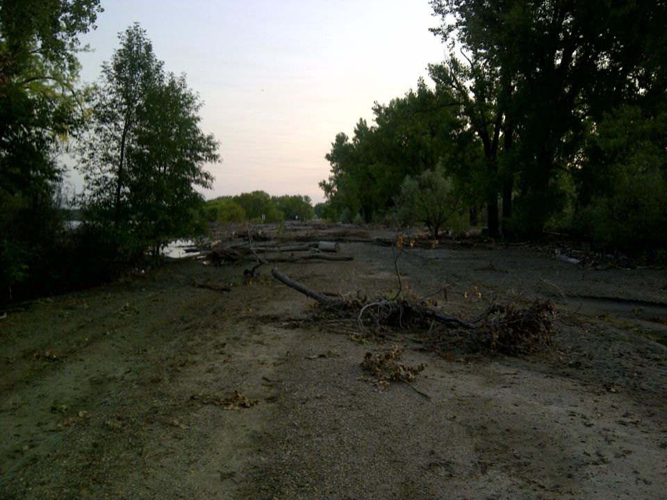Riverbank covered in driftwood and debris under a hazy sky. Trees line the background