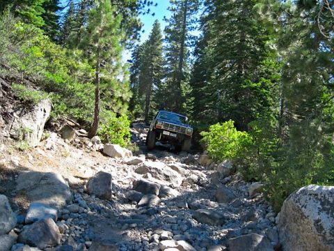 1986 Ford Bronco - A Ford Bronco navigates a challenging, rocky off-road path surrounded by dense forest.