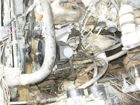 1983 Ford Bronco - Even the belt fit, which was a nice surprise, though it is VERY close to the tensioner's limit. As on the V8, I had a drip pan under the st…