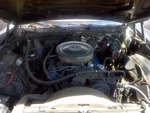 1979 Ford Ranchero - View of the engine bay, a V8 engine and a prominent air cleaner assembly.