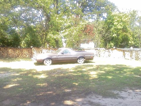 1979 Ford Ranchero - A brown 1979 Ford Ranchero is seen from the side, parked outdoors with trees and a woodpile in the background.