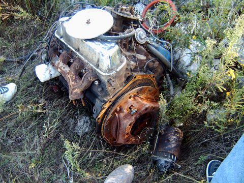 1982 Ford Bronco - This engine, possibly from a 1982 Ford Bronco, is heavily rusted and appears to be discarded in a grassy area.