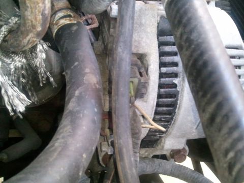 1994 Ford Bronco - Alternator and hoses in engine bay, likely from an older vehicle.
