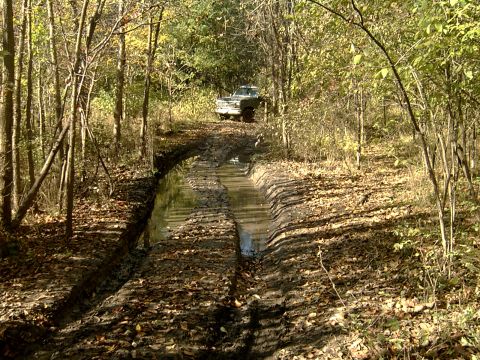 1982 Ford Bronco - my nice little mud pit