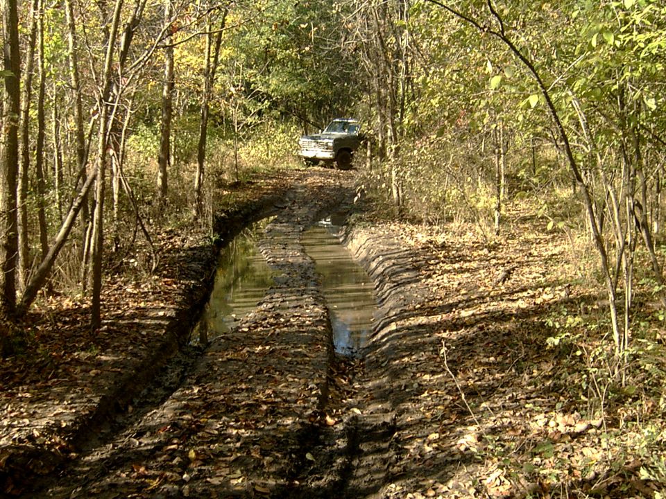 my nice little mud pit