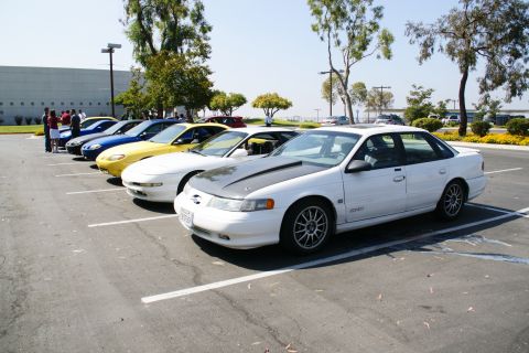 1995 Ford Taurus - Several cars are parked in a lot on a sunny day, with a white 1995 Ford Taurus in the foreground.