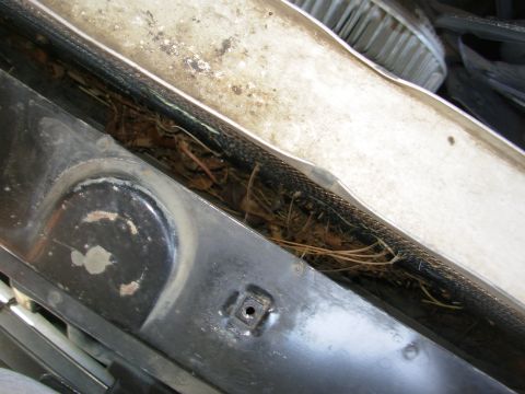 1997 Chevrolet Silverado 3500 - I should have known to check this before - it seems like GM designs all their vehicles to collect crap between the radiator & condenser. Se…