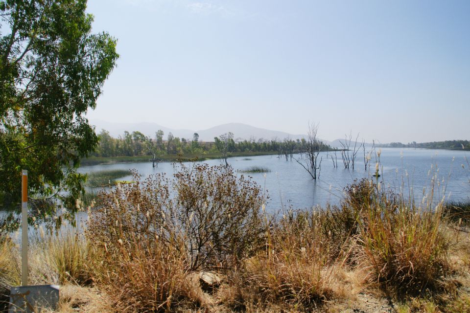 Lake with dead trees and dry grass in foreground