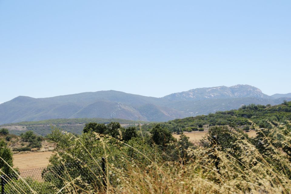 Scenic landscape with mountains and dry grass in the foreground