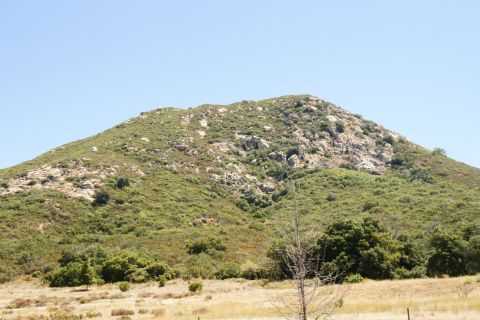 1995 Ford Taurus - A scenic view of a rocky, brush-covered mountain on a clear day.