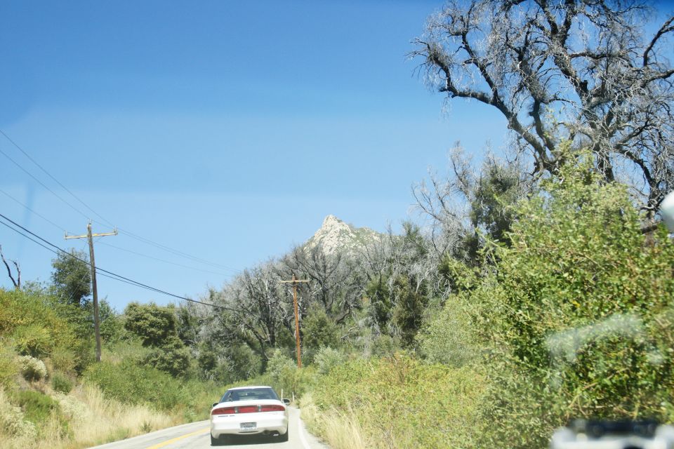 White 1995 Ford Taurus sedan from rear, driving on a rural road with dry trees and a mountain peak in the distance