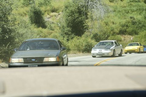 1995 Ford Taurus - Multiple vehicles are seen on a road surrounded by greenery.