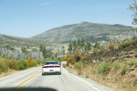 1995 Ford Taurus - A 1995 Ford Taurus is seen from behind on a highway, with a speed limit sign visible.